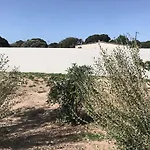 Casa Di A Felicita 别墅 博尼法乔