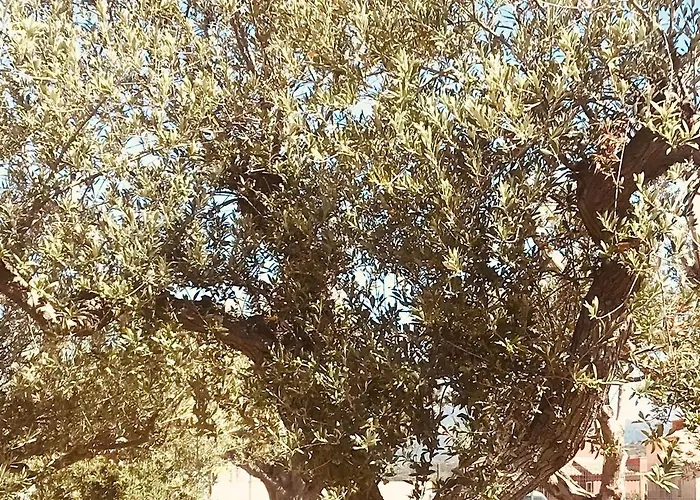 Casa Di A Felicita Villa