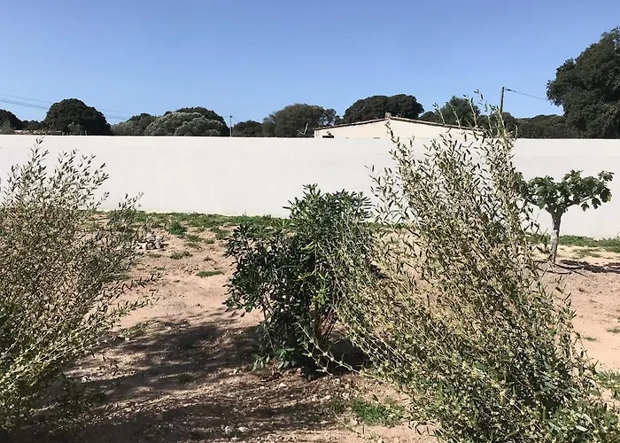 Casa Di A Felicita Villa Bonifacio (Corsica)